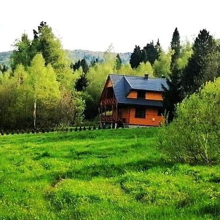 Domarka Caloroczny Dom W Bieszczadach Ветлина Экстерьер фото